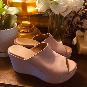 Women’s Callisto of California Blush Suede Platform Wedge Sandals